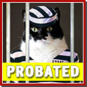 title-probation.png