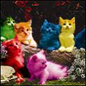 title-rainbow_kittens-5.jpg