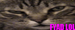 This flag proudly brought to you by "OTAKU LINUXBIRD" on 03/28/2008