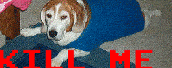 This flag proudly brought to you by "mysterious loyall X" on 04/03/2008