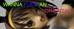 This flag proudly brought to you by "mysterious loyall X" on 04/04/2008