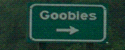 This flag proudly brought to you by "Disco Duck" on 03/28/2008