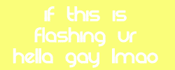 This flag proudly brought to you by "king of the gays" on 04/03/2008