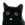:catte:
